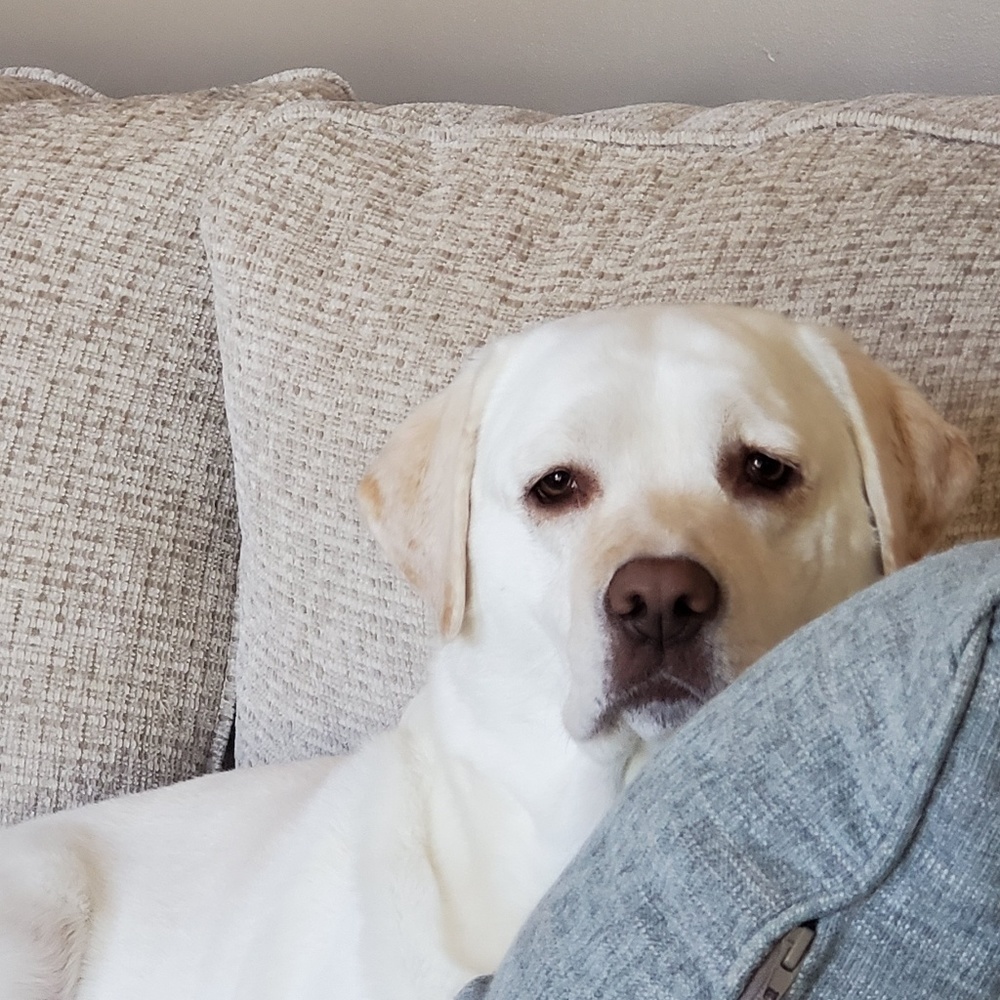 Meet your Posher, Amy